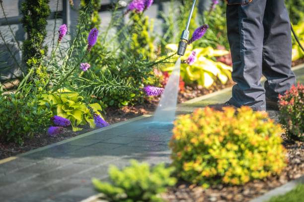 Best Winterizing Services  in Owensboro, KY